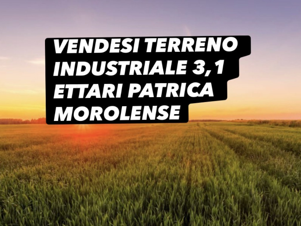 Foto immobile